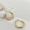 Women The Korean Fashion Earrings | Metal Hoop Earrings