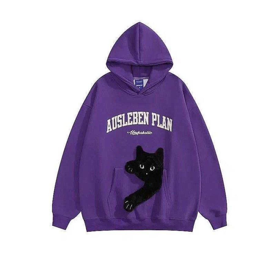 Clothing The Korean Fashion | Plush Embroidered Velvet Hooded Sweatshirt